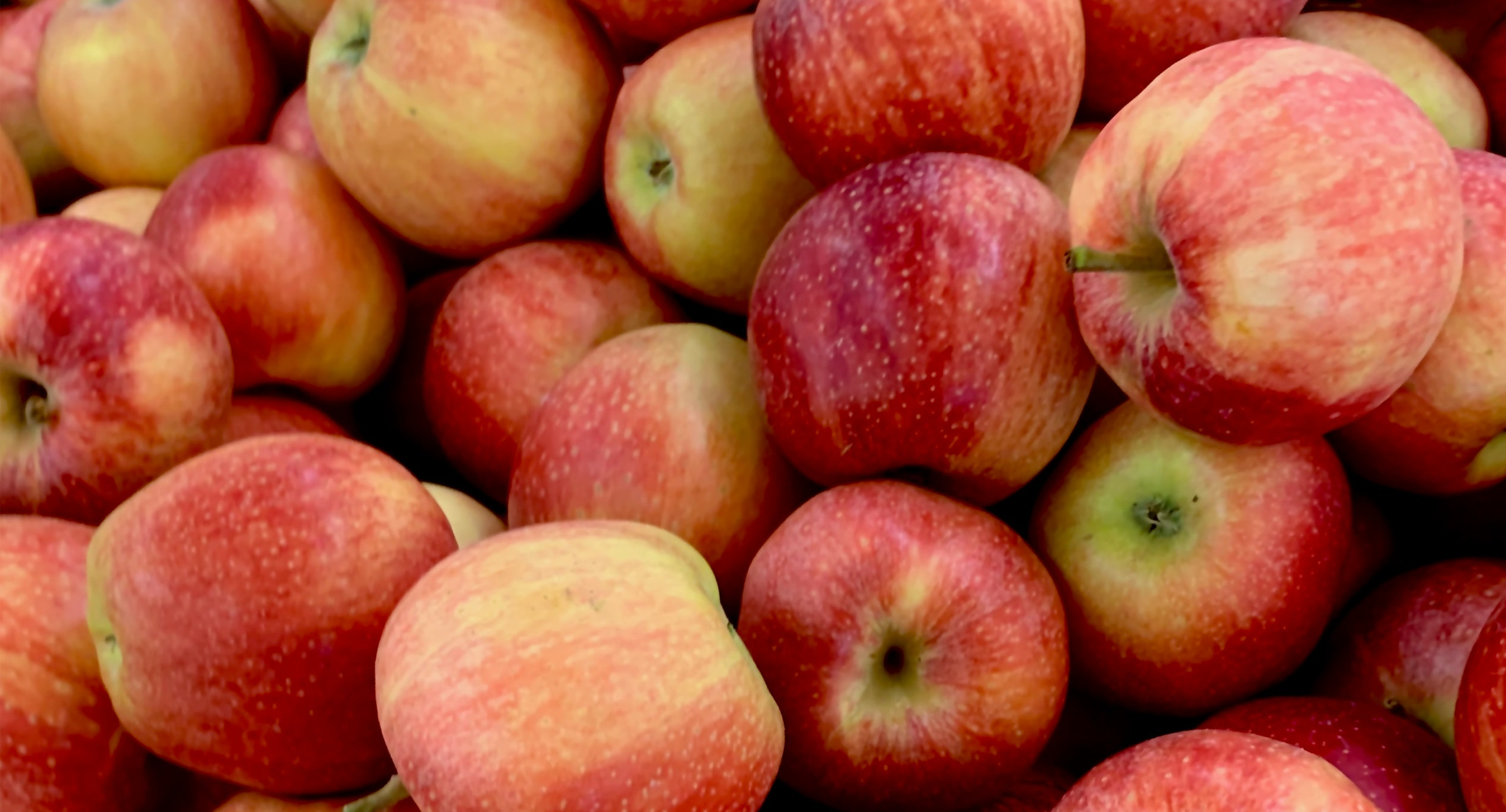 Internationale Appeldag: kies duurzaam!<br>