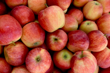 appeloverzicht.png