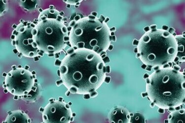 coronavirus-2.jpg