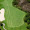 2-21.png